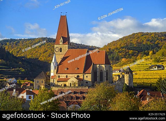 Autumn in the Wachau Valley- Weissenkirchen church and vinyards near the Danube River, Wachau Valley, Weissenkirchen, Lower Austria, Austria
