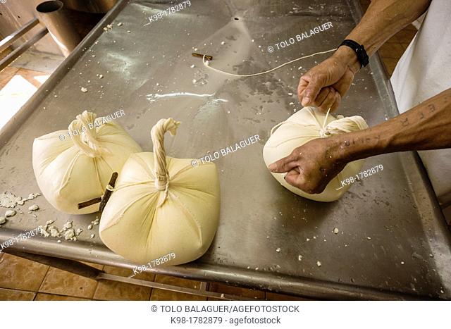 Hand-made cheese Binibeca Jaume Pons - denomination of origin craftsman-farm Alcaiduset Mahon, Alaior, Menorca, Balearic Islands, Spain, Europe