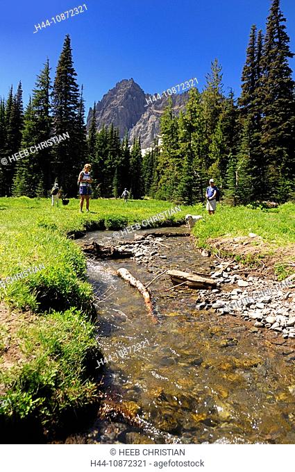 Hikers on trail, Canyon Creek Meadows Trail, Mount Jefferson Wilderness, nature, Central Oregon, Sisters, Oregon, USA