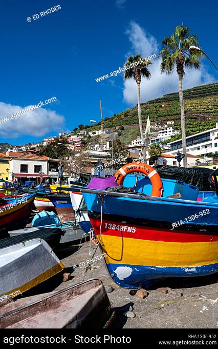 Colourful fishing boats in Camara de Lobos, Funchal, Madeira, Portugal, Atlantic, Europe