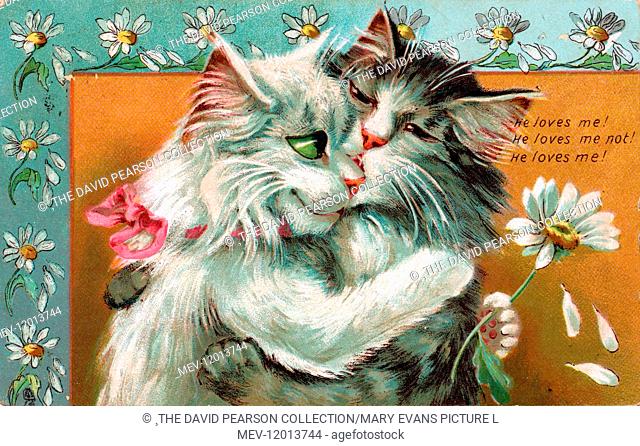 Two cats by Louis Wain on a romantic postcard -- He loves me! He loves me not! He loves me!