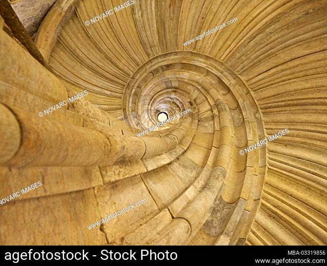 Stair eye from the Great Wendelstein at Hartenfels Castle, Torgau, Saxony, Germany