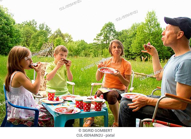 Family with two children enjoying birthday cake picnic