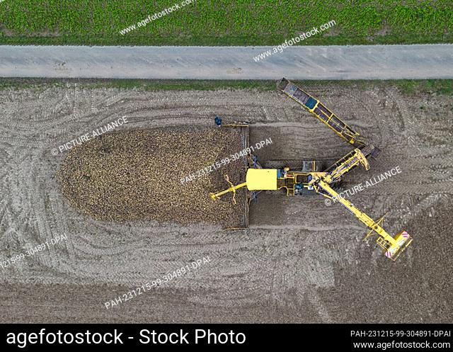 PRODUCTION - 13 December 2023, Baden-Württemberg, Hemmingen: A farmer stands next to a beet-cleaning loader and a pile of sugar beet (aerial shot with a drone)