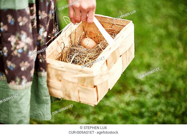 Hand of woman carrying fresh egg in basket