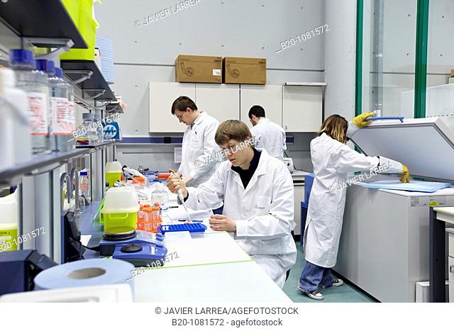 Laboratory of Nanobiotechnology, CIC nanoGUNE, Nanoscience Cooperative Research Center, San Sebastian, Gipuzkoa, Euskadi, Spain