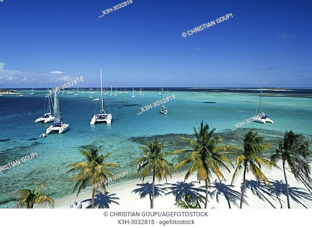 Jamesby islet, Tobago Cays, Grenadines islands, Saint Vincent and the Grenadines, Winward Islands, Lesser Antilles, Caribbean Sea