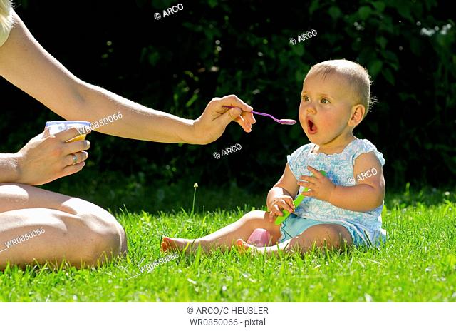 Young mother feeding her baby, mother and daughter / lawn