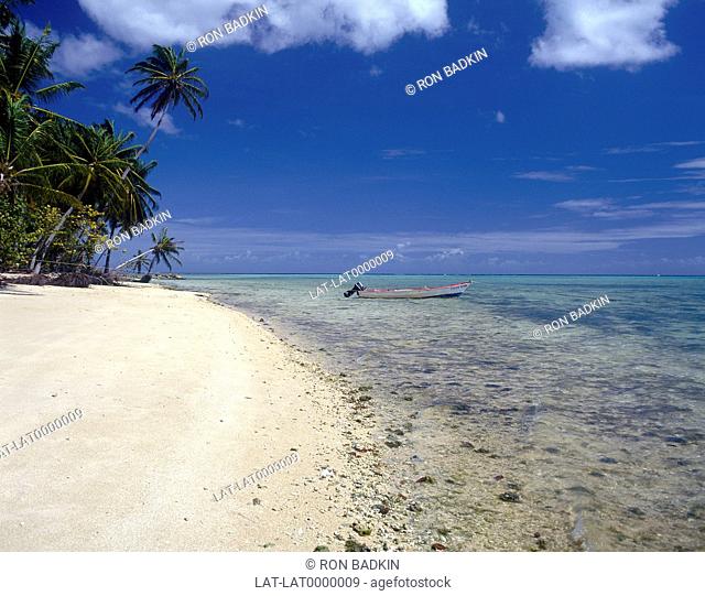 Typical white sandy beach with palm trees. Shallow water/ coral. Boat