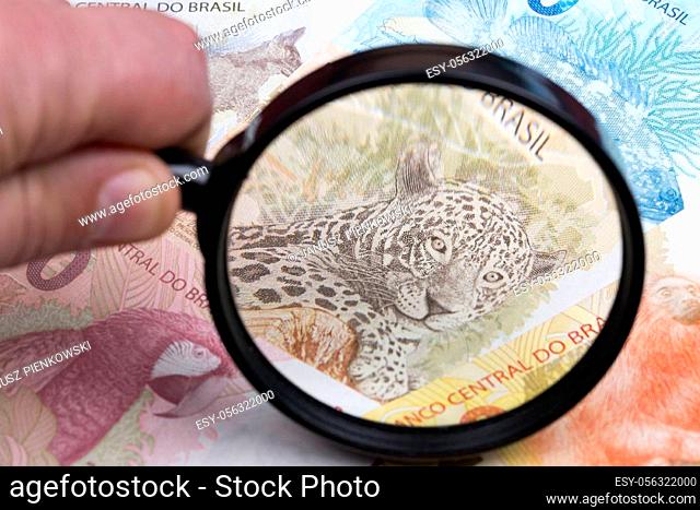 Brazilian money in a magnifying glass a business background
