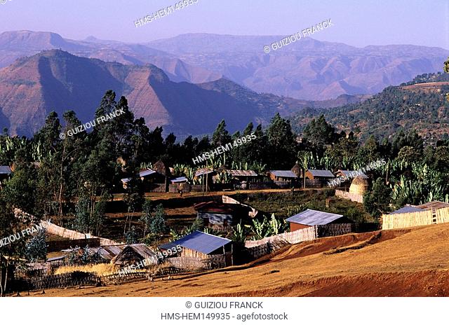 Ethiopia, the Rift valley, the village of Dorze in the Guge Mountains