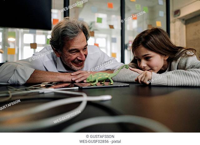 Senior buisinessman and girl playing with chameleon figurine in office