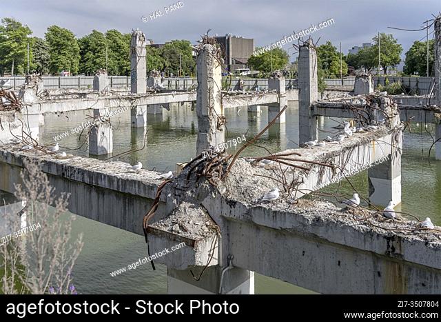 cityscape with flooded ruins of collapsed concrete building framework with Black-billed gulls on wrecked pillars and warped reinforcing steel