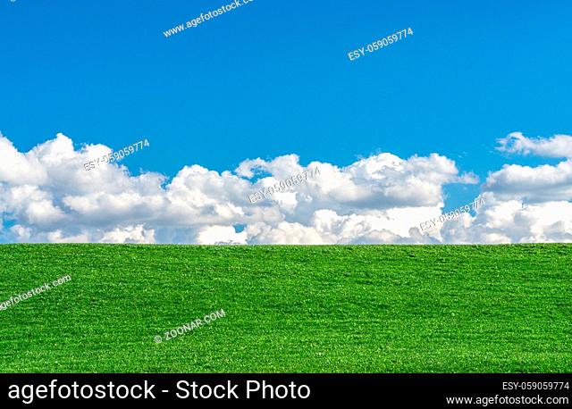 Green grassy meadow on a clear day. Natural eco background with a bright blue sky, clouds and green grass. A lot to copyspace area