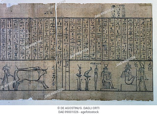 Deities in procession, detail from the Jumilhac Papyrus, Treaty of mythological geography in cursive hieroglyphs. Egyptian civilisation, Roman Empire