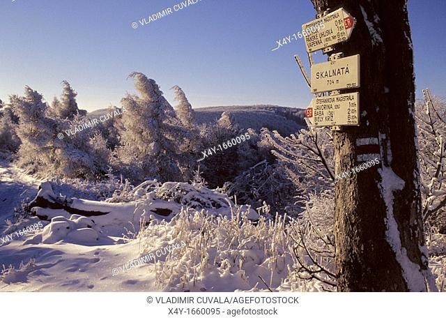 Winter scenery at Vysoka, Male Karpaty, Slovakia