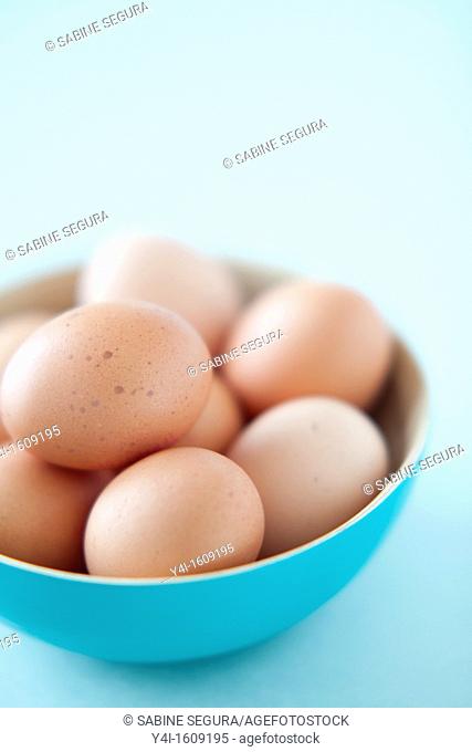 eight eggs in a blue bowl