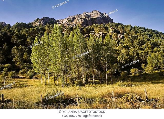Sierra de Grazalema, Cadiz province, Andalusia, Spain