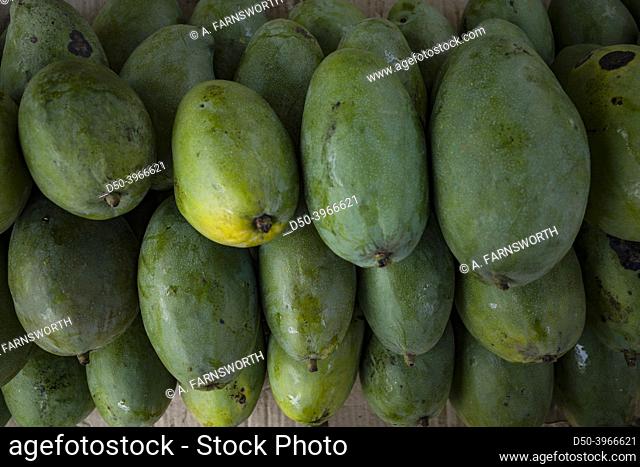Galle, Sri Lanka Mangoes at a farm market stall
