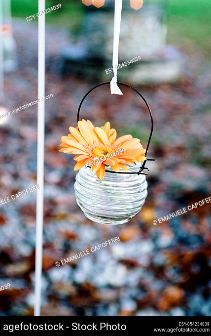Orange daisy in glass jar hanging