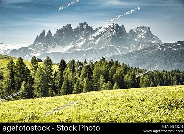 Italy, Trentino, province of Trento, Soraga di Fassa. Pale di San Martino / Pala group as seen from Fuciade, Dolomites