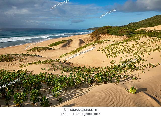 Dunes along the Indian Ocean in iSimangaliso-Wetland Park, South Africa, Africa