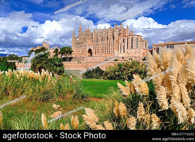 View to the cathedral La Seu, Palma de Mallorca, Majorca, Balearic Islands, Spain