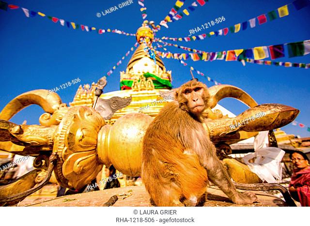 Sacred Monkey Temple (Swayambhunath Temple), UNESCO World Heritage Site, Kathmandu, Nepal, Asia