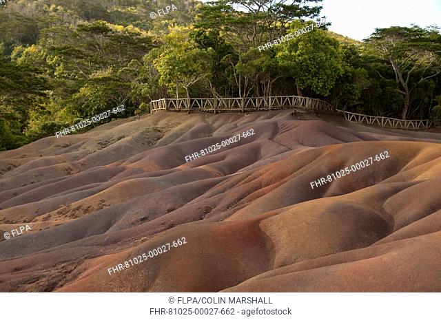 View of sand dunes comprising of different coloured sands, caused by decomposed basalt gullies of ferralitic soil, red colour caused by iron sesquioxydes and...