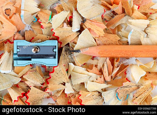 A sharpened brown pencil and sharpener on shavings