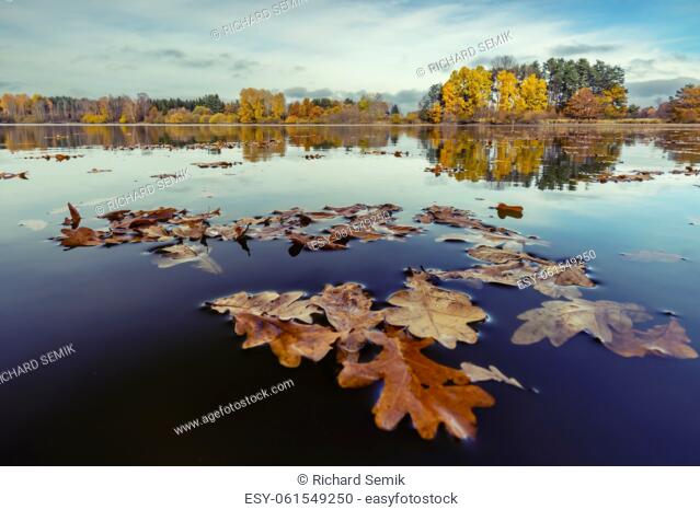 Autumn pond near Trebon, Southern Bohemia, Czech Republic