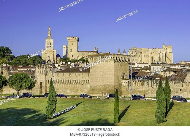 France, Provence region, Avignon city, the Popes Palace, skyline, W.H.
