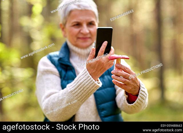 senior woman using smartphone to identify mushroom