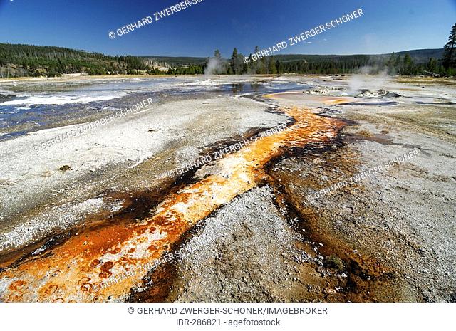Layers with thermophilic bacteria, Upper Geyser Basin, Yellowstone Nationalpark, Wyoming, USA, United States of America