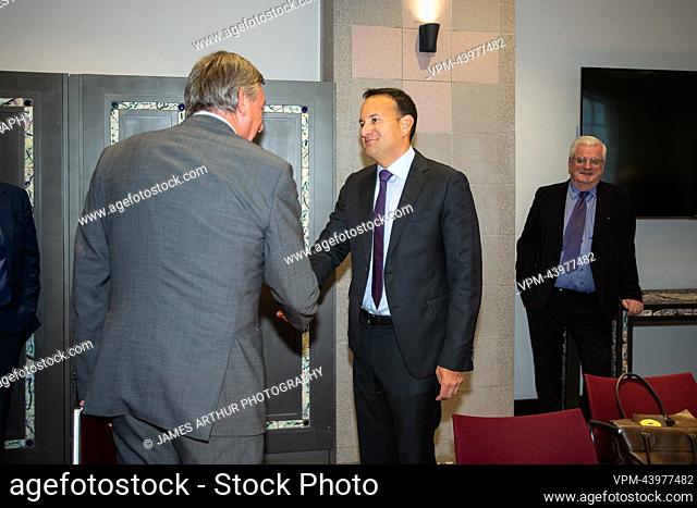 Flemish Minister President Jan Jambon and Ireland Prime Minister Taoiseach Leo Varadkar pictured during the first day of a diplomatic mission of the Flemish...