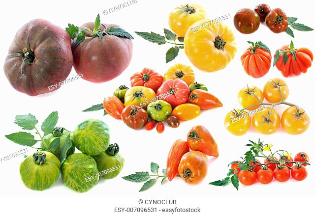 ancient varieties of tomatoes in front of white background