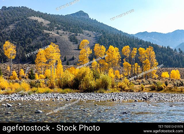 United States, Idaho, Sun Valley, Big Lost River in autumn landscape with mountains and forests