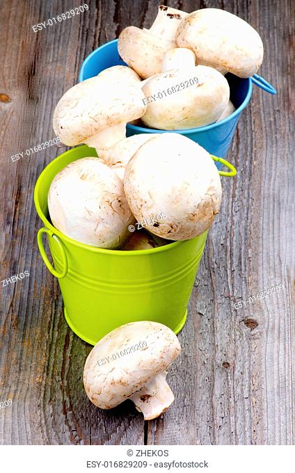 Green and Blue Buckets with Big Raw Champignons In a Row isolated on Rustic Wooden background