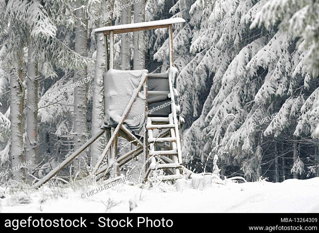 High seat in the snowy spruce forest, Spessart, Bavaria, Germany