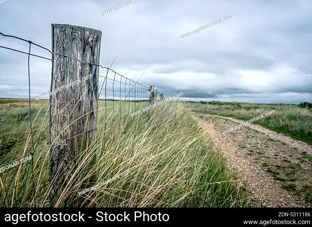 Nature path surrounded by grass and a fence