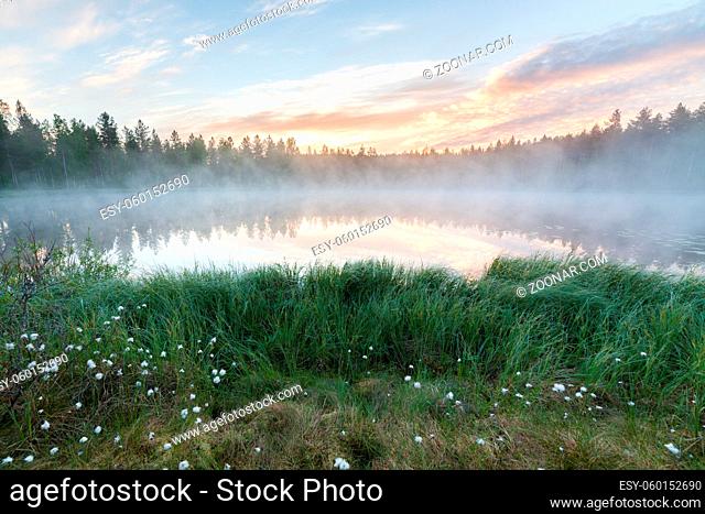 Foggy morning at forest pond landscape Finland