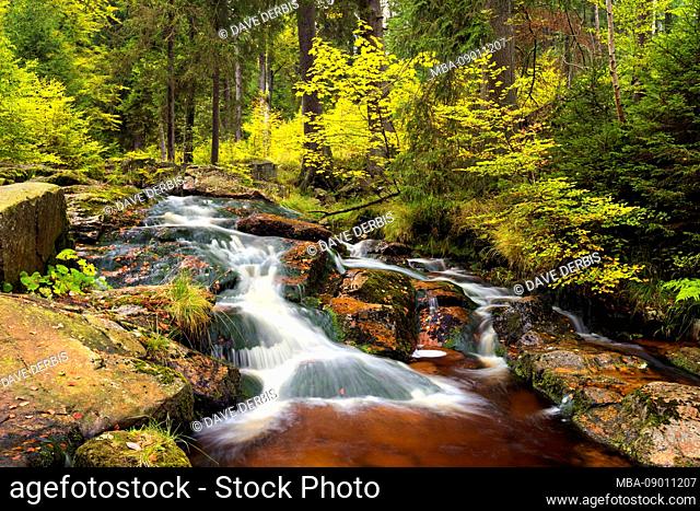 Bode, Bodetal, river, forest, leaves coloring, autumn, Harz, Saxony-Anhalt, Germany, Europe