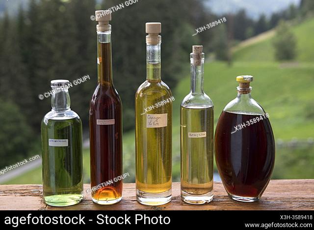 etalage d'eaux de vie de fruits varies (schnapps), ferme auberge Unterstein, vacances a la ferme, Villabassa /Niederdorf, Val Pusteria