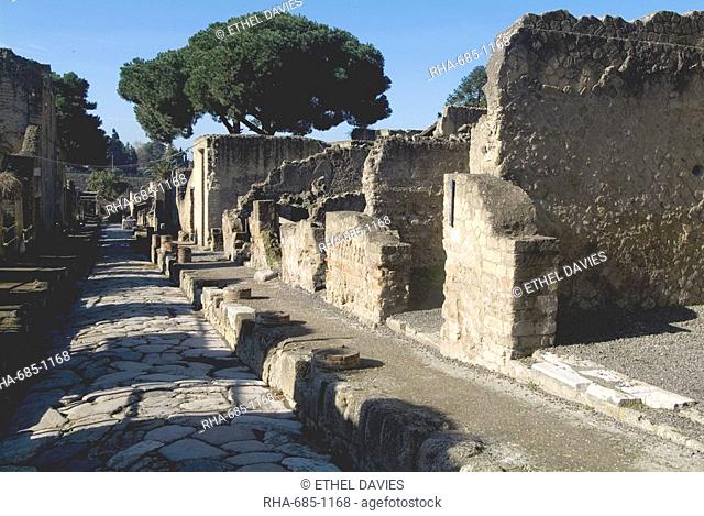 The ruins of Herculaneum, a large Roman town destroyed in 79AD by a volcanic eruption from Mount Vesuvius, UNESCO World Heritage Site, near Naples, Campania