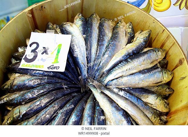 Sardines in Mercado Central (Central Market), Valencia, Spain, Europe