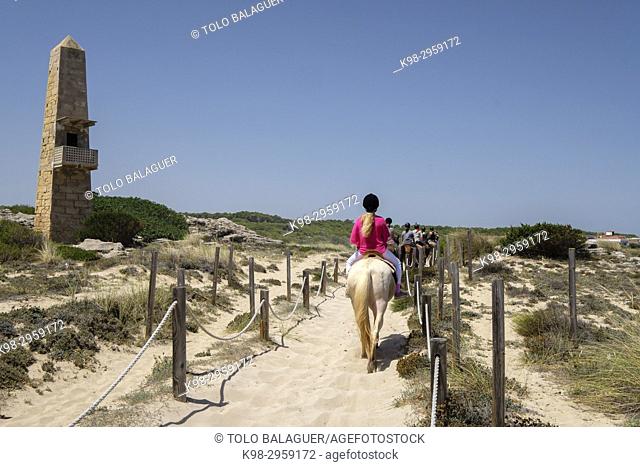 Horse riding through dunes, Son Serra de Marina, Mallorca, Balearic islands, Spain