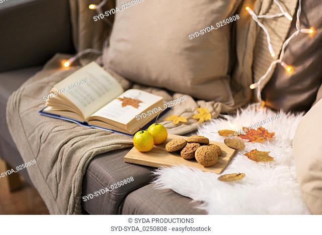 lemons, book, almond and oatmeal cookies on sofa
