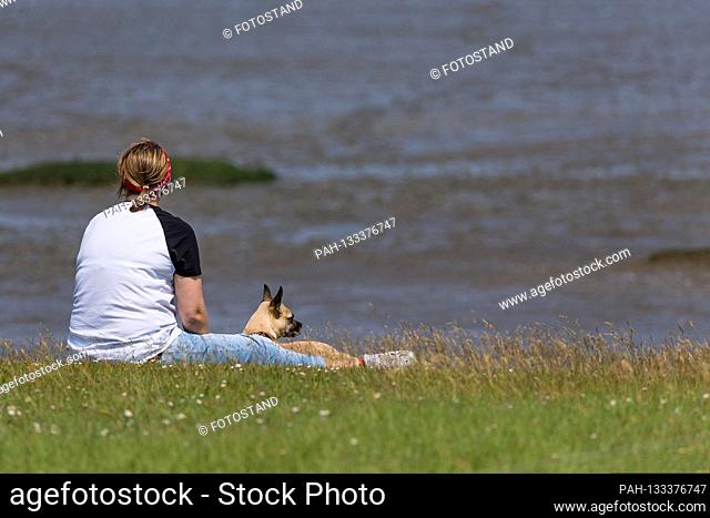 Harlesiel / Carolinensiel, Germany June 2020: Symbolic pictures - 2020 A vacationer with a dog sits on the beach of Harlesiel in a meadow and looks at the North...