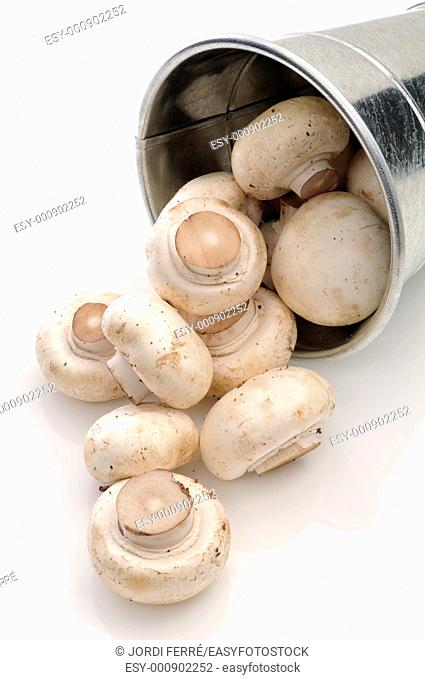 Champignons in a bucket on white background