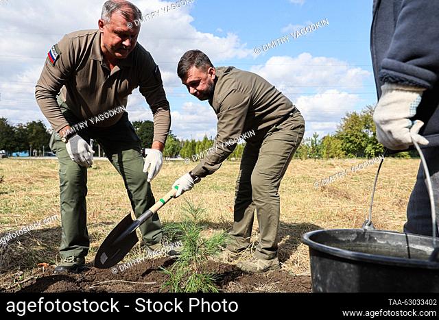 RUSSIA, DONETSK - OCTOBER 5, 2023: Donetsk Mayor Alexei Kulemzin (L) and Donetsk People's Republic Head Denis Pushilin plant cedars in Alexander Zakharchenko...
